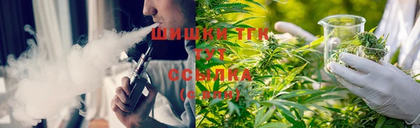 твердый Михайловск