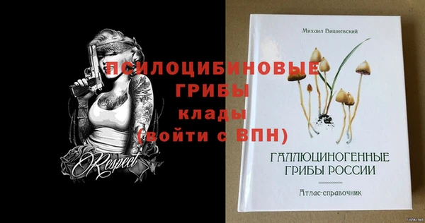 стаф Михайловка