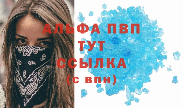 молекула духа Навашино